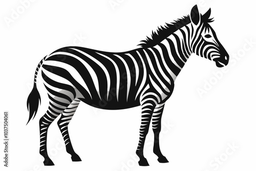 Zebra silhouette vector illustration on white background