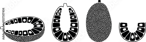 Jack fruit logo. Isolated jack fruit on white background