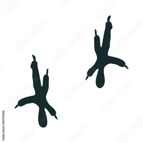 Vector print of bird paws with claws. Silhouette paw print of a parrot or pigeon
