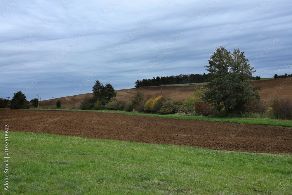 Autumn landscape with plowed field and blue sky, Czech Republic Autumn landscape with plowed field and blue sky, Czech Republic