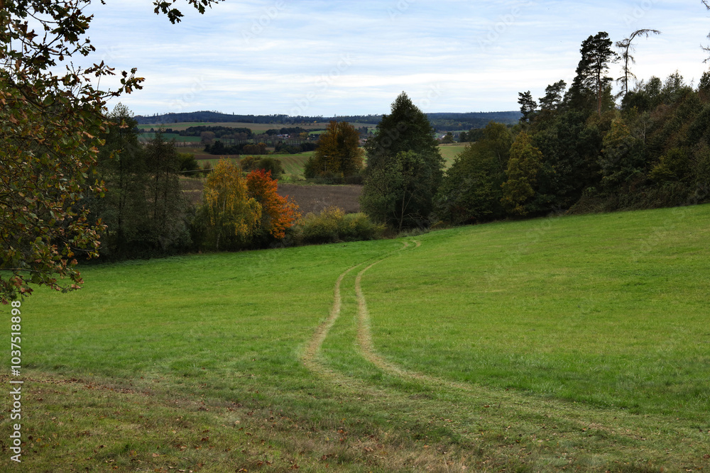 Obraz premium Autumn landscape with a path in the middle of a meadow