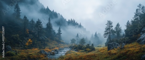 Misty Mountain Stream