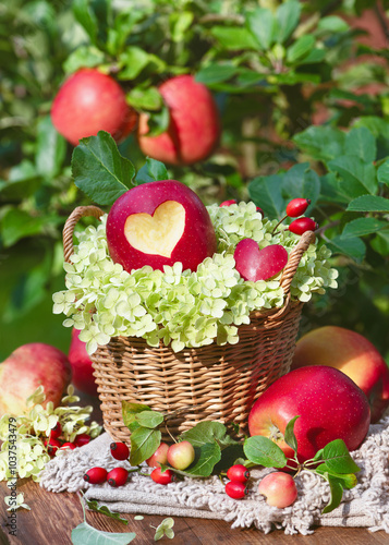 Still life of a rustic wicker basket with  a red apple with heart, white hydrangea flowers and rose hip branches init. Harvesting or Thanksgiving Day concept. photo