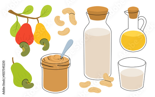 Cashew milk in bottle and glass cup. Plant milk, vegan milk concept. Vector illustration isolated on white background. Alternative milk and ingredients. Cashew fruits and nuts, oil and butter