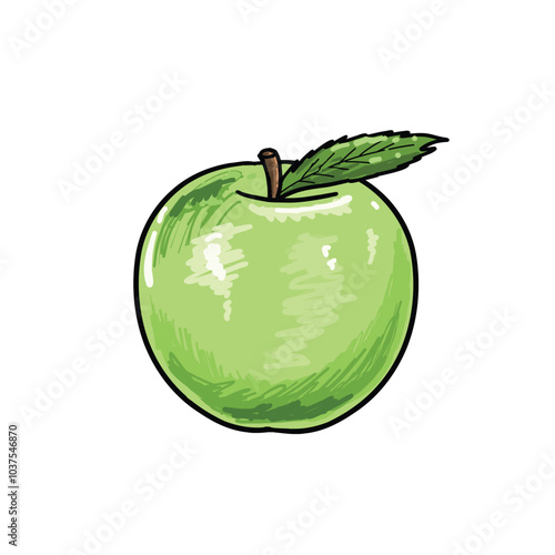 Hand Drawn Green Apple Isolated on White Background. Vintage Style Hand Drawn Green Apple Isolated on White Background. Healthy Lifestyle Concept Design Element.