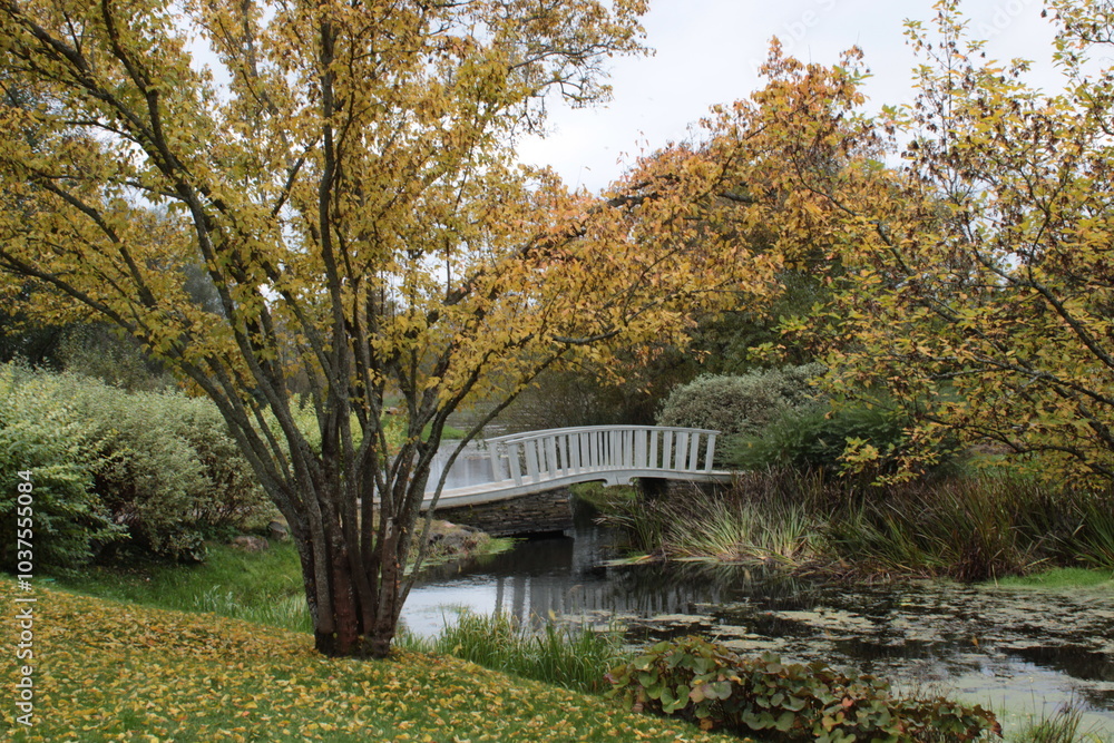 Autumn Park Autumn Park