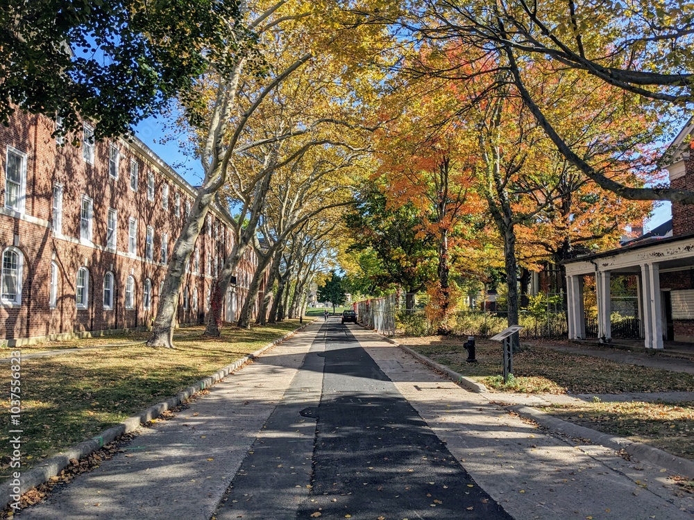 Overview of Governors Island in New York City in Fall - October 2024 Overview of Governors Island in New York City in Fall - October 2024