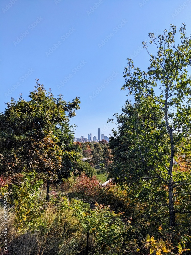 Overview of Governors Island in New York City in Fall - October 2024 Overview of Governors Island in New York City in Fall - October 2024