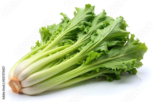 Celtuce white background