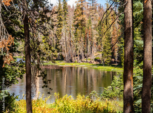 A view of the serene Summit Lake in Lassen Volcanic National Park. It is surrounded by a dense forest with tall trees and lush greenery. The reflections on the water add to the tranquility of the scen