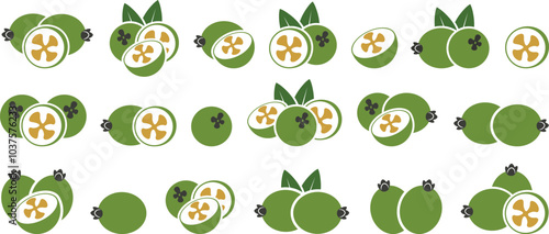 Feijoa logo. Isolated feijoa on white background