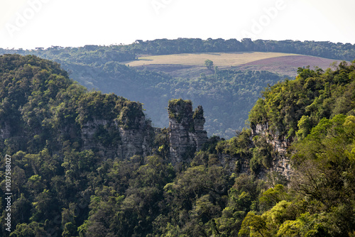 Natural wild landscape of the Atlantic Forest and Brazilian rainforest