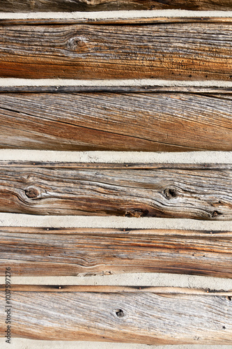 Obraz na płótnie Log cabin siding, old wood building, chinking between logs, aged wooden texture