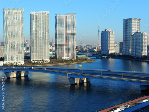 スカイツリー 晴海　東京都江東区豊洲の風景 photo