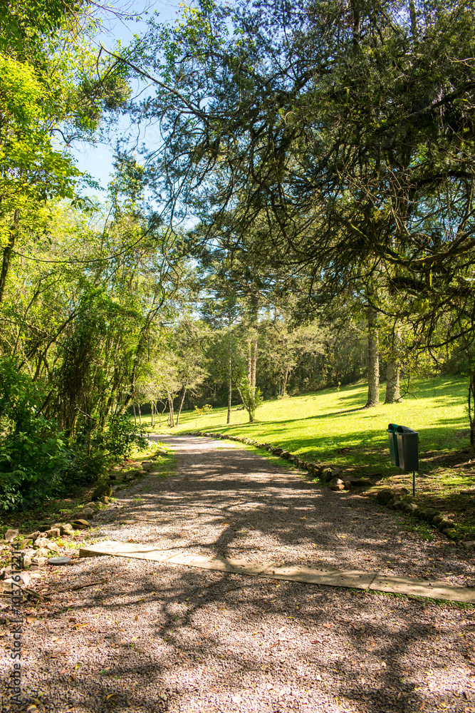 Fototapeta premium Hiking path at Parque do Caracol, famous nature park and tourist destination in Canela - Serra Gaúcha