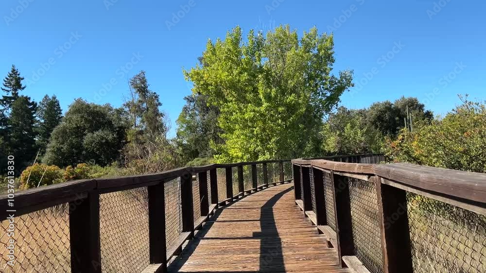 Wooden bridge over the river. Walk way at the summer time. Moving shot. Wooden bridge over the river. Walk way at the summer time. Moving shot.