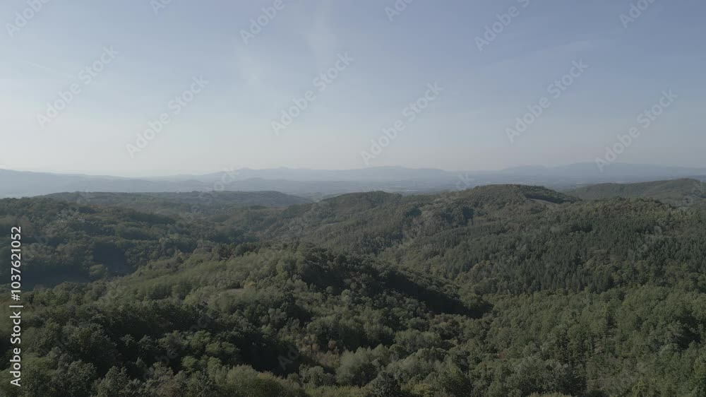 Beautiful drone shot of green forest with clouds Beautiful drone shot of green forest with clouds