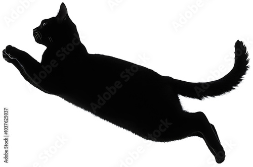 Graceful cat jumping silhouette, sleek black icon pet, agile animal isolated pose, elegant shadow kitten illustration, dynamic domestic portrait photo