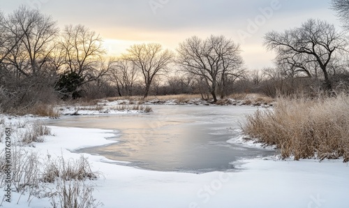 Wallpaper Mural A frozen lake with trees in the background Torontodigital.ca