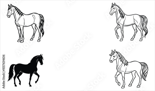 Running horse at various gaits. Horse run cycle. Walking trotting and galloping horse. Vector illustration isolated on a white background