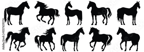 Horse silhouette set vector design big pack of animal illustration and icon