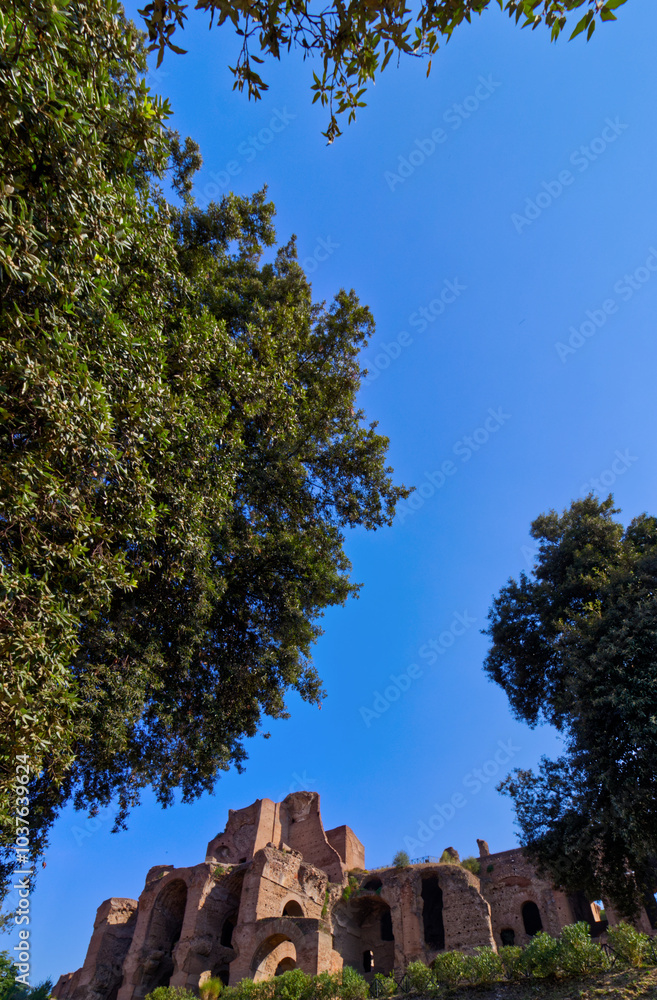 Tree filled street next to the Capitoline museum, Rome, Italy