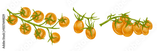 Set of colorful yellow cherry tomato fruits. Vector graphics.идор желтый