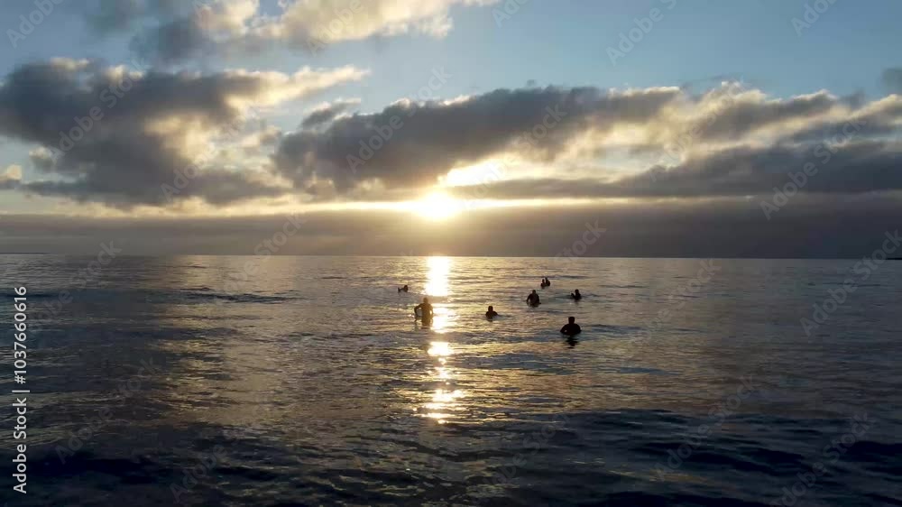 Silhouettes of surfers at sunset with a calm sea Silhouettes of surfers at sunset with a calm sea