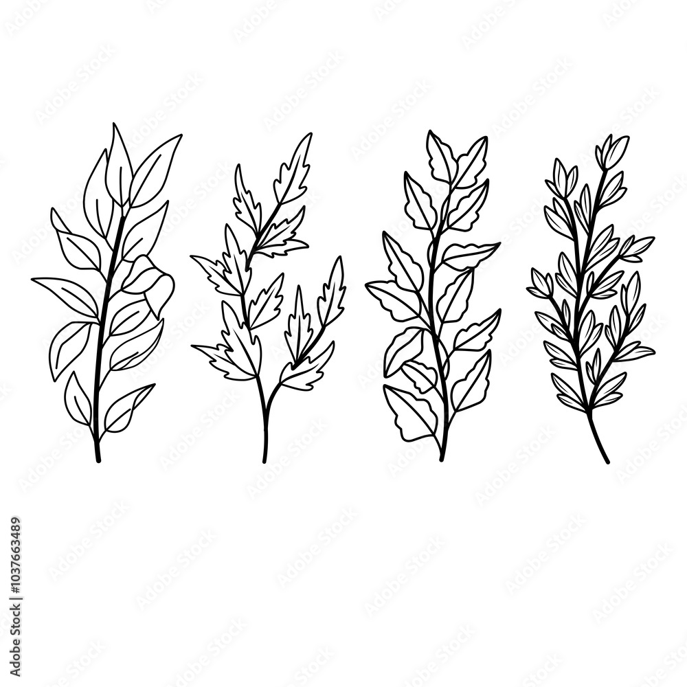 Fototapeta premium black and white leaves hand drawn vector illustration
