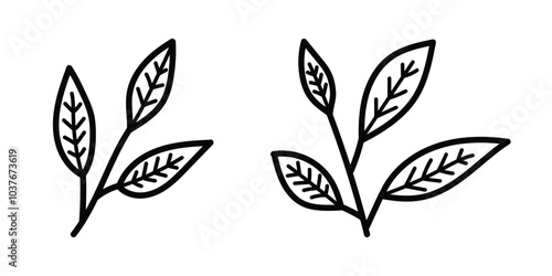 Vector Hand Drawn Leaves Icon Set