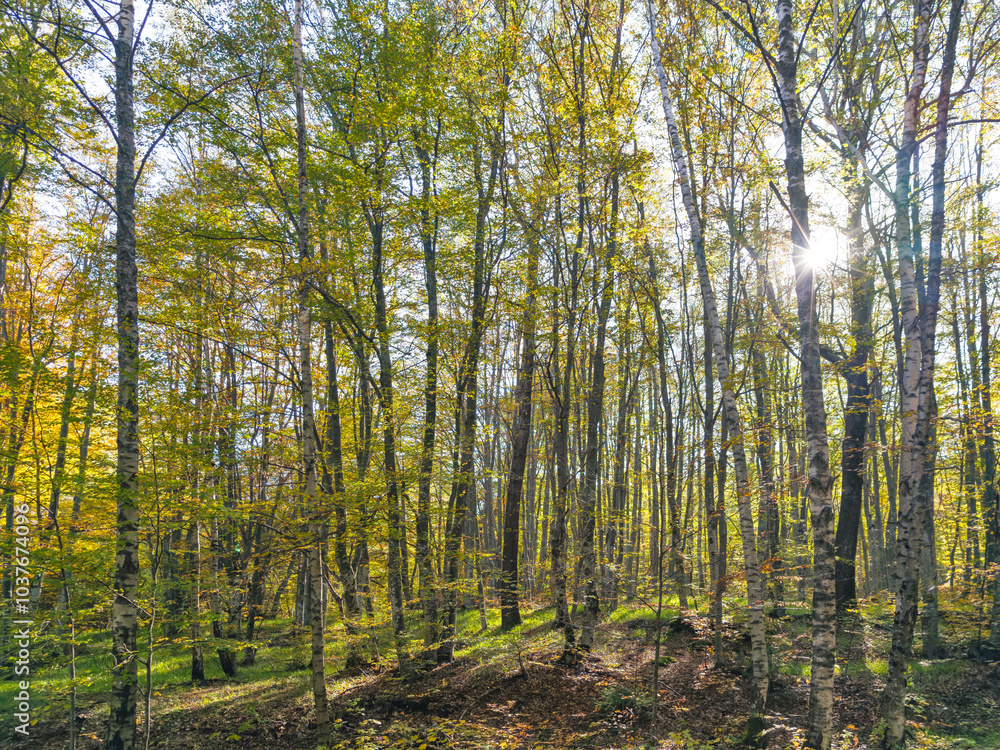Autumn view of Vitosha Mountain, Bulgaria Autumn view of Vitosha Mountain, Bulgaria