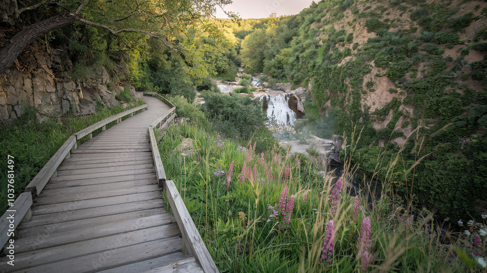 Wooden Path Leading to Cascading Waterfall Wooden Path Leading to Cascading Waterfall