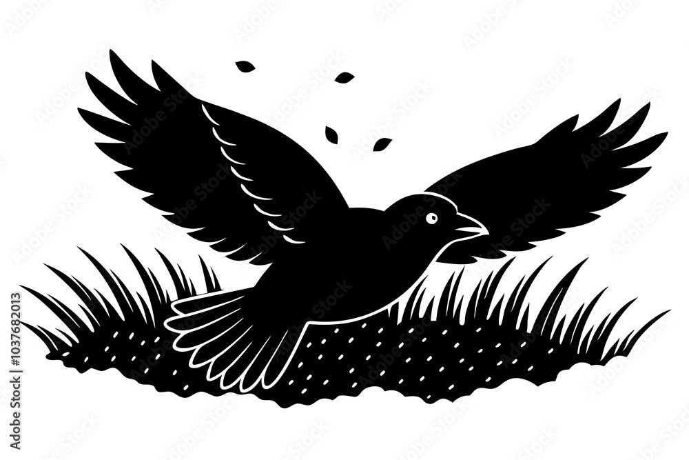 Obraz premium A black bird flying in the air over a field