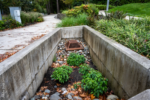 Canvas Print Rusty raised square iron stormwater drain surrounded by small rocks and plants,
