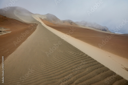 Endless waves of golden sand beneath the desert sun. Nature's masterpiece carved by wind and time. Patitos Beach Huarmey Peru photo