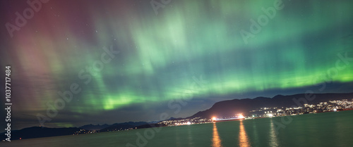 Northern light blooming