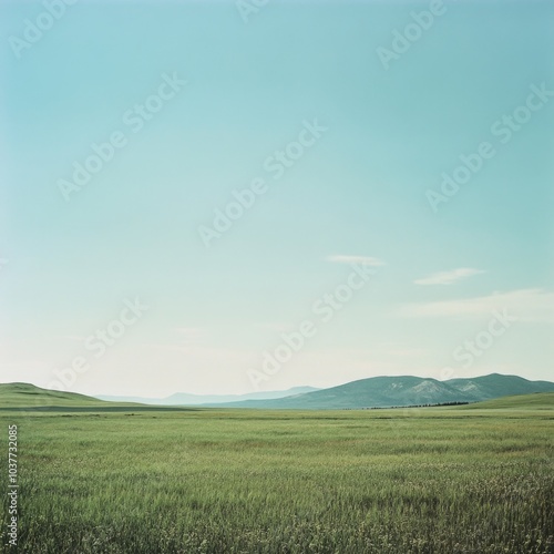 Under the clear sky without a cloud, a wide field of grass spreads out and you can see the mountain over the horizon