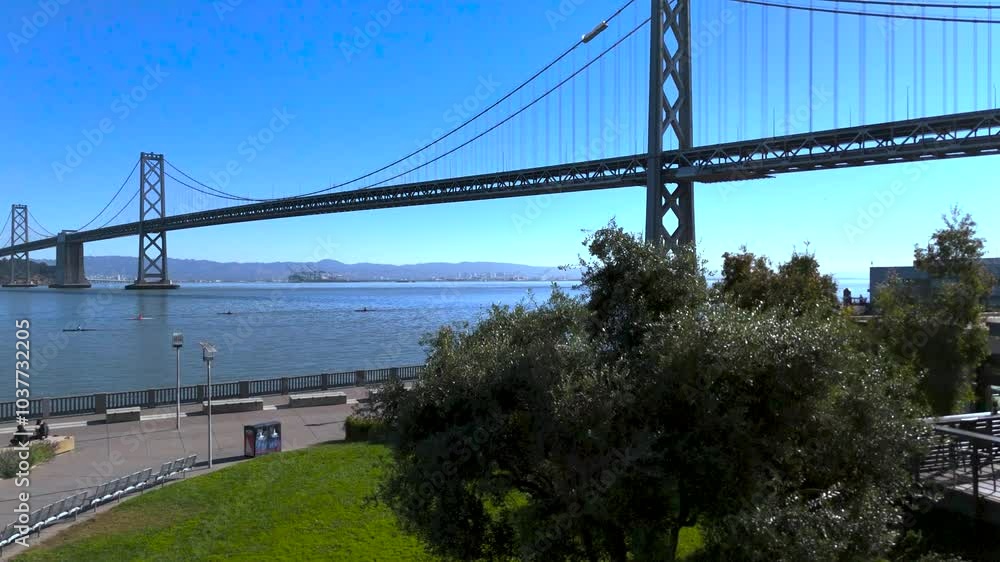 Aerial San Francisco Bay Bridge Parallel with tree Aerial San Francisco Bay Bridge Parallel with tree