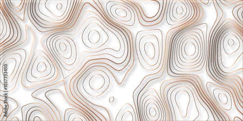 Topographic canyon geometric map relief texture with curved layers and shadow. abstract White background with a beautiful pattern, Topographic contour lines vector map seamless pattern vector.	
 photo