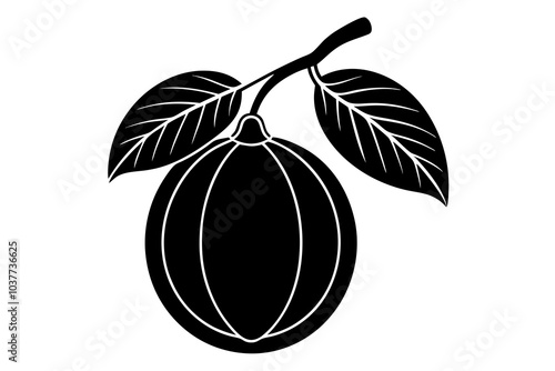 calabash  tree fruit  silhouette