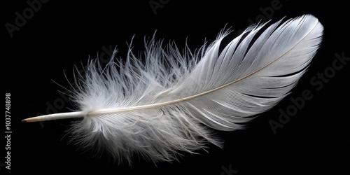 Macro close-up of a singular fluffy white feather floating over a black background