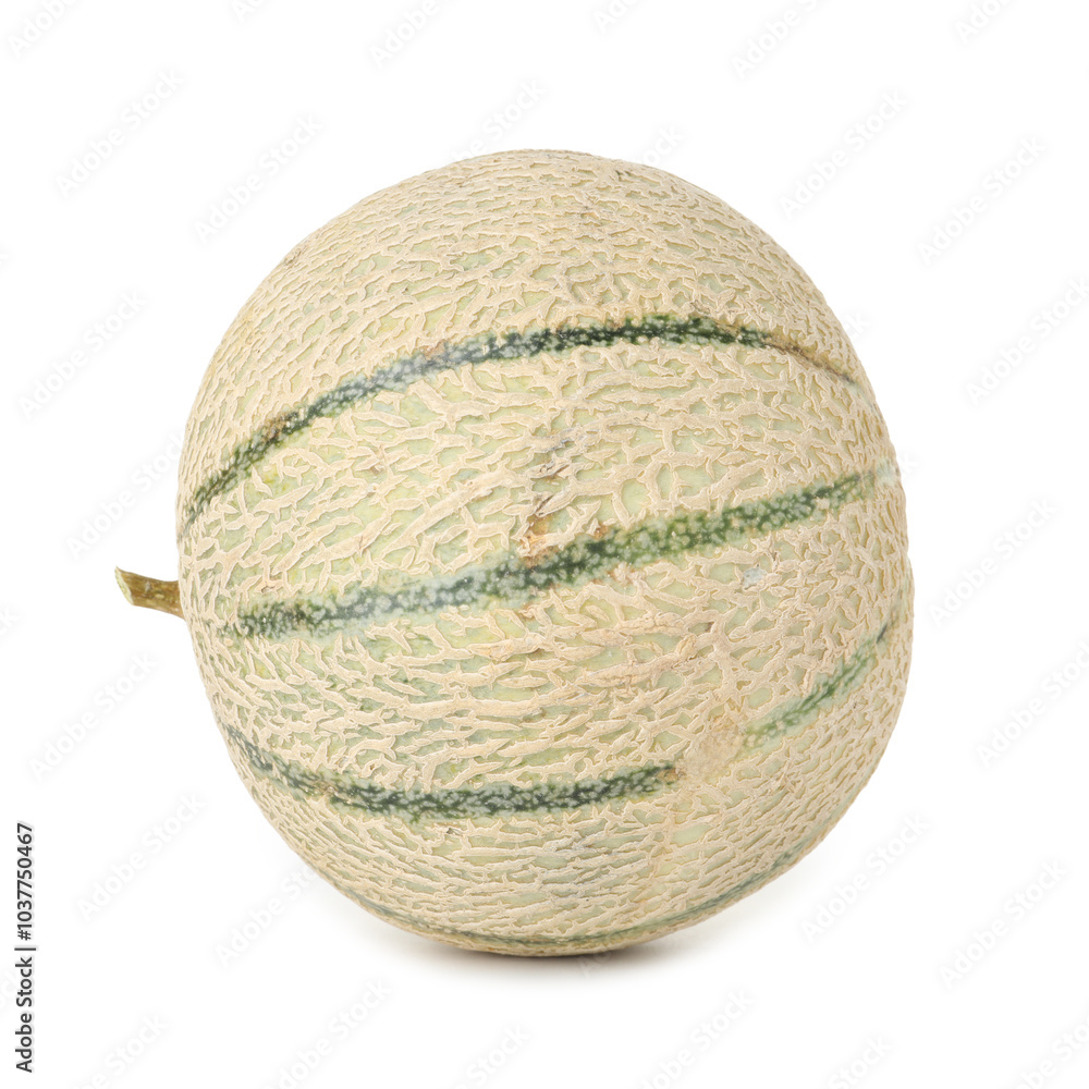 One whole Cantaloupe melon isolated on white One whole Cantaloupe melon isolated on white