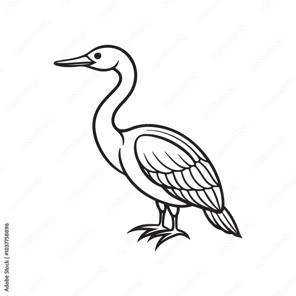 Ahinga bird line out art vector style with white background. Ahinga bird line out art vector style with white background.