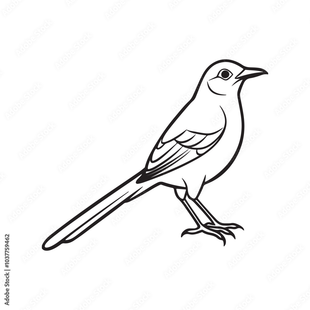 Obraz premium Mocking bird line out art vector style with white background.