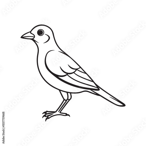 Skylark bird line out art vector style with white background.