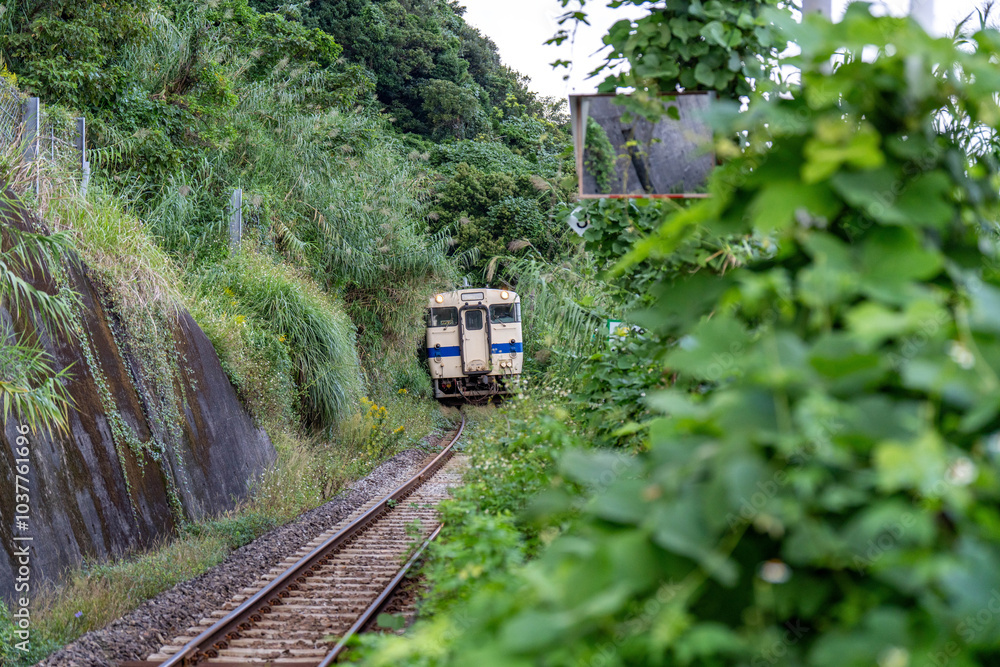 Naklejka premium キハ47