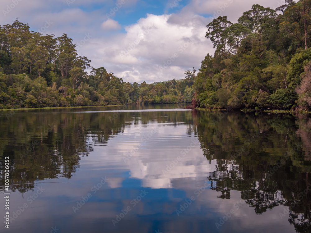 Obraz premium River Bank Reflections Tasmania