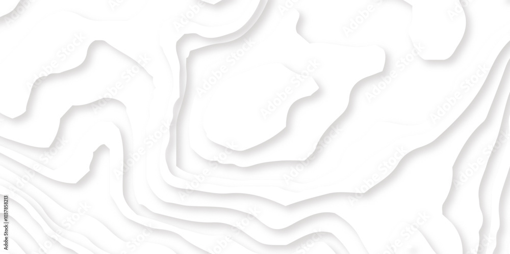 Abstract wavy line 3d paper cut white background. Topographic canyon geometric map relief texture with curved layers and shadow. Abstract realistic papercut Abstract wavy line 3d paper cut white background. Topographic canyon geometric map relief texture with curved layers and shadow. Abstract realistic papercut