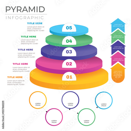 Printpyramid chart infographic template elegant circle layers