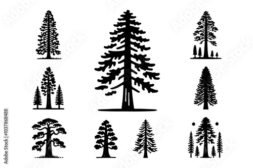 set of redwood tree silhouette silhouette . nature tree isolated - Redwood logo type  icon illustration bundle